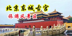 插小穴的视频中国北京-东城古宫旅游风景区